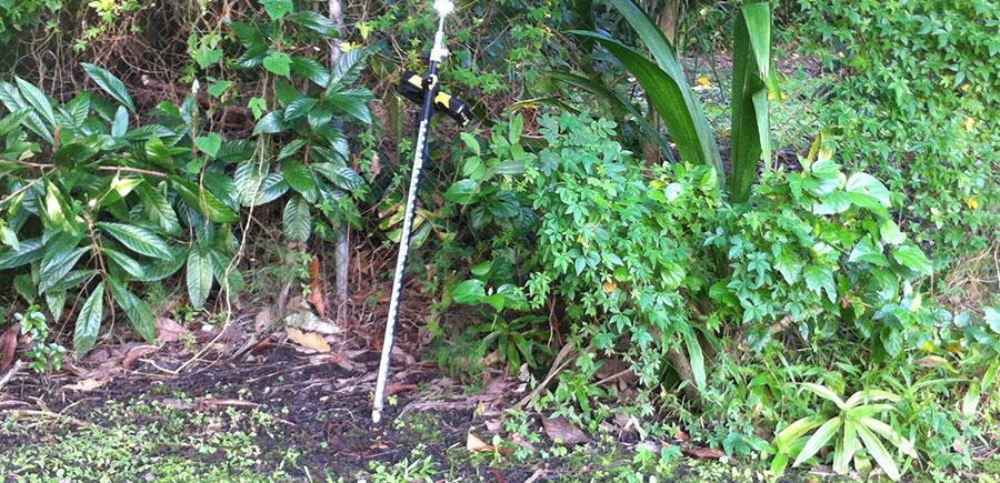 Survey prism pole set within dense, overgrown residential backyard vegetation, capturing detail level survey data among trees, shrubs and boundary fencing